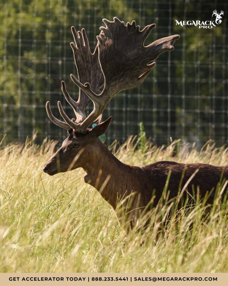C-Bar Ranch