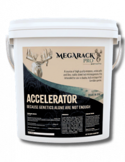 Accelerator Bucket